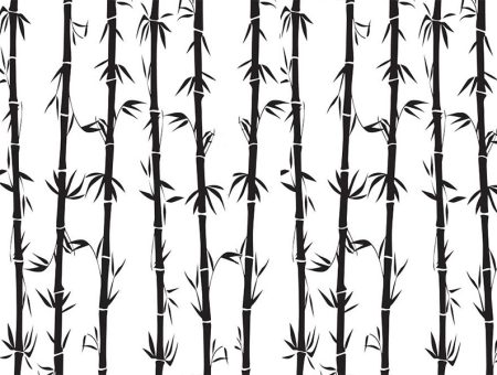 Bamboo Curtain