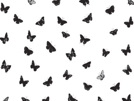 Madame Butterfly