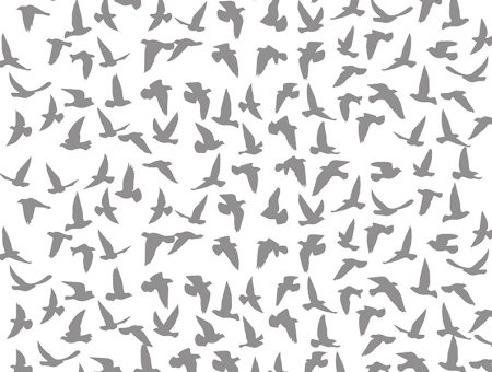 Free As A Bird
