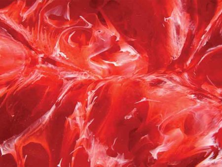 Fuego Rojo
