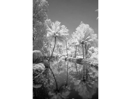 Lost Lagoon