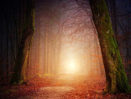 Misty Days