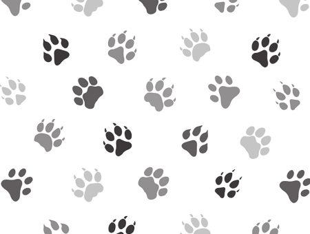 Paws Off